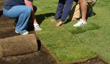 Commercial Sod Installation Calgary