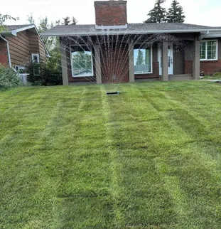Professional Sod Laying Calgary