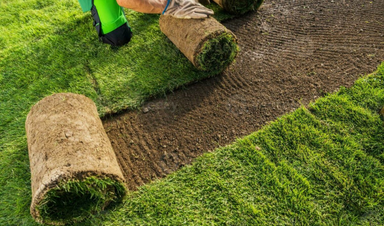 Residential Sod Installation Calgary