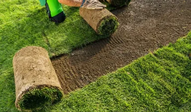 Residential Sod Installation Calgary