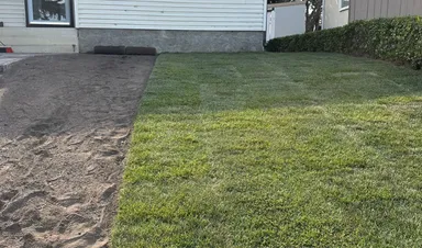 Sod Replacement & Lawn Repair Calgary